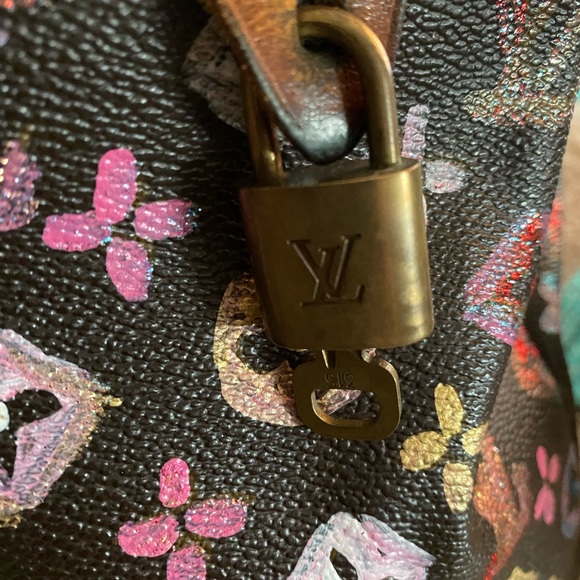 Custom painted Authentic Louis Vuitton Speedy Bag - Picture 6 of 16